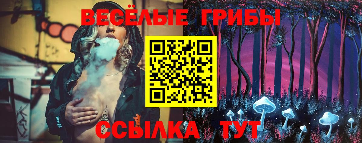Лесозаводск  Галлюциногенные грибы прущие грибы  Вход с VPN 