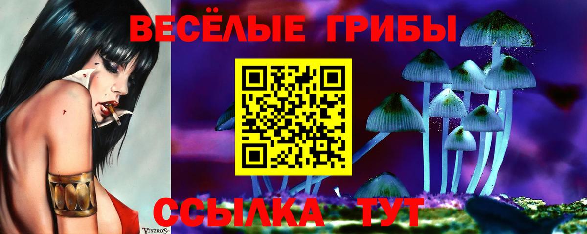 Псилоцибиновые грибы GOLDEN TEACHER Лесозаводск