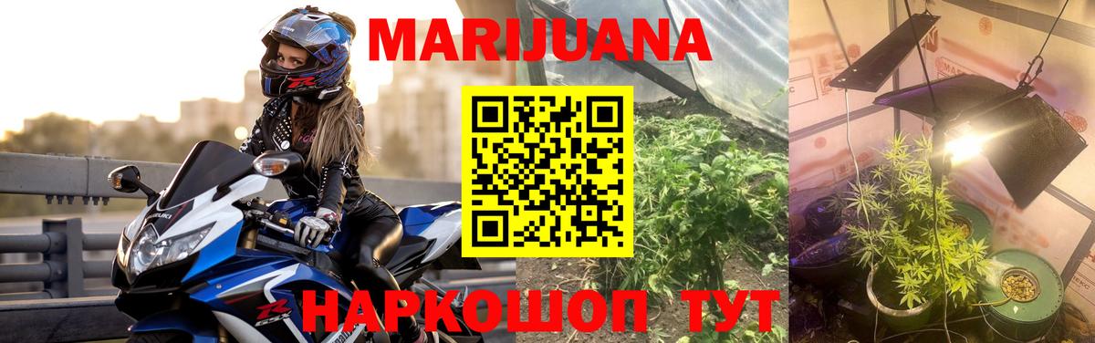 Бошки Шишки тримм  Вход с VPN  Канабис сатива  Лесозаводск  МАРИХУАНА SATIVA & INDICA 